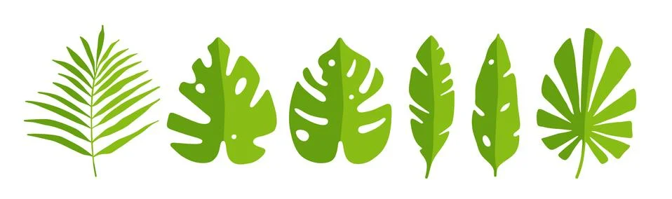 Leaf set. Abstract icon green tropical leaves Stock Illustration
