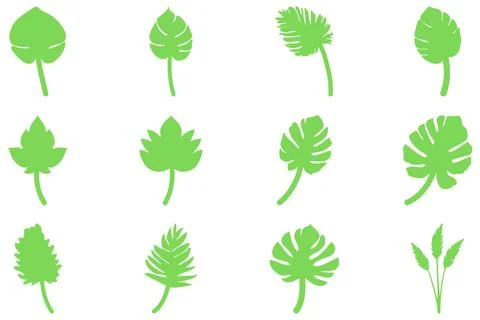 Leaf set icon. Nature herb design Stock Illustration