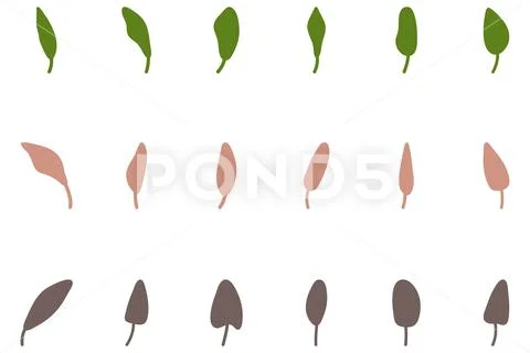Leaf set icon. Nature vector Illustration