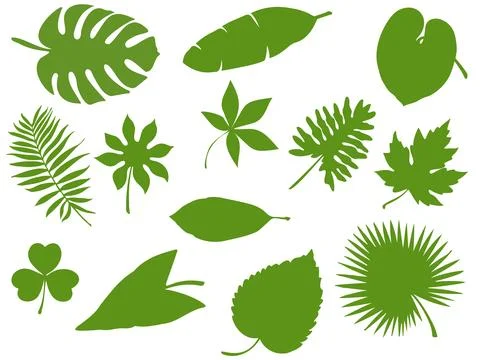Leaf set Stock Illustration