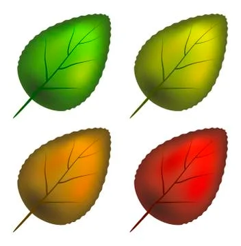 Leaf set vector symbol icon design. Stock Illustration