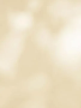 Leaf shadow and light on beige wall background Stock Photos