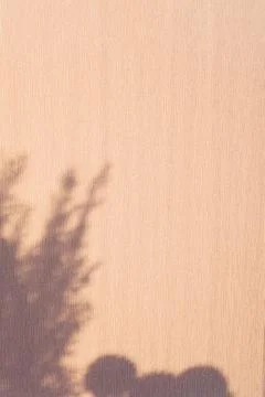 Leaf shadow and light on wall background. Sepia toned. Stock Photos