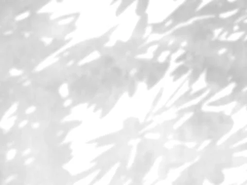 Leaf shadow and light on wall blur background. Stock Photos