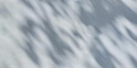 Leaf shadow and light on wall background. Nature tropical leaves tree branch Stock Photos