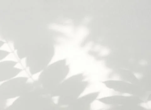 Leaf shadow and light on white concrete wall background Stock Photos