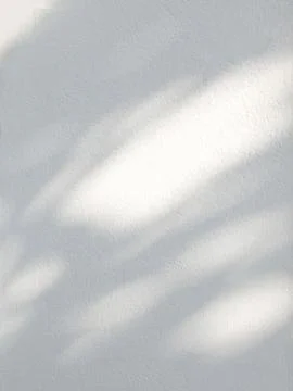 Leaf shadow and light on white concrete wall background Stock Photos