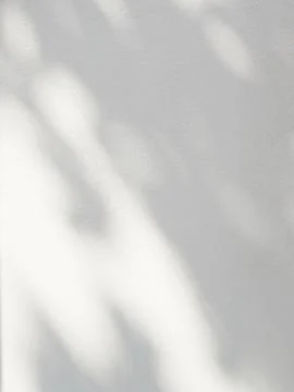 Leaf shadow and light on white concrete wall background Stock Photos