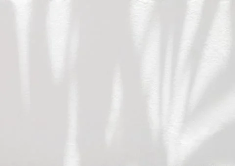 Leaf shadow and light on white concrete wall background Stock Photos