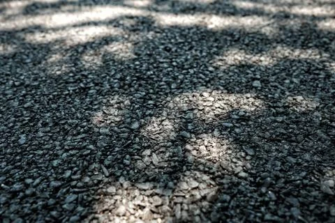 Leaf Shadow on Asphalt Road Background. Foto stock