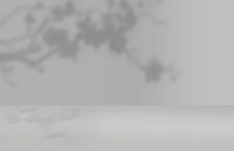 Leaf shadow background video 库存影片 247533443