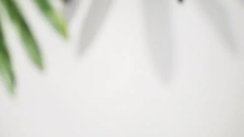 Leaf shadow on beige background minimal summer concept with palm tree leaf creat Stock Footage 245156134