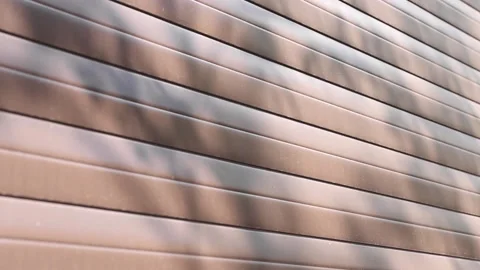 Leaf shadow on a colored wall with metallic stripes. Video stock 194232920
