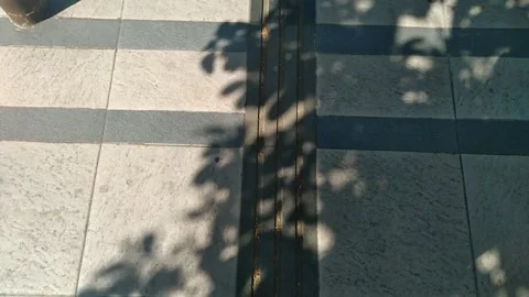 Leaf shadow Stock Footage 259261981