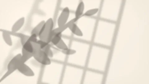 Leaf shadow footage with window frame overlay on beige wall background Stock Footage 346549383