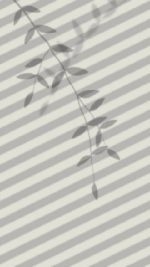 Leaf shadow pattern loop footage Stock Footage 346549392
