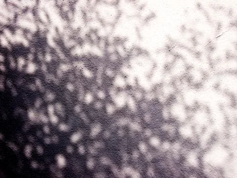 Leaf shadow Stock Photos