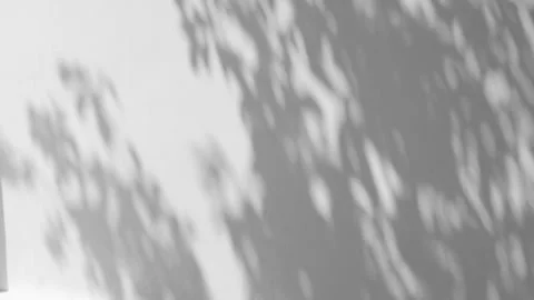 Leaf shadow swaying in the breeze on concrete wall Stock Footage 304400913