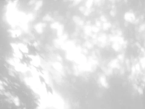 Leaf shadow on wall background. Illustrazione stock