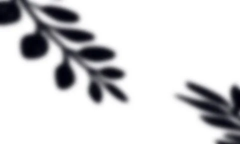 Leaf shadow in white background Stock Photos