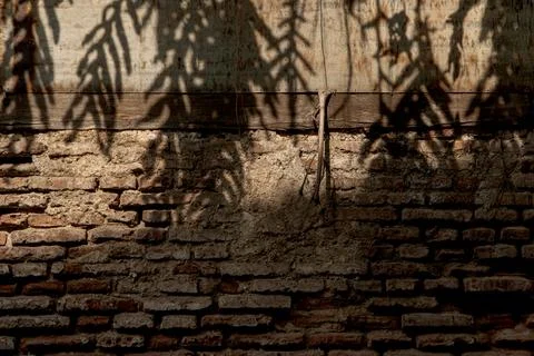 Leaf Shadows on Rustic Brick Wall Stock Photos