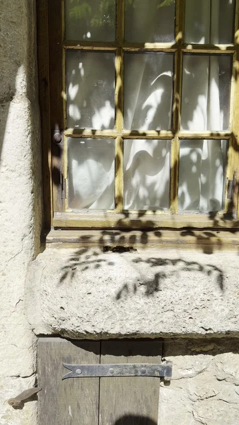 Leaf Shadows on Rustic Wooden Window and Ancient Stone Wall Vertical Stock Footage 340188071
