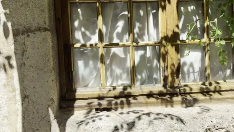 Leaf Shadows on Rustic Wooden Window in Ancient Stone Wall Horizontal Stock Footage 340188107
