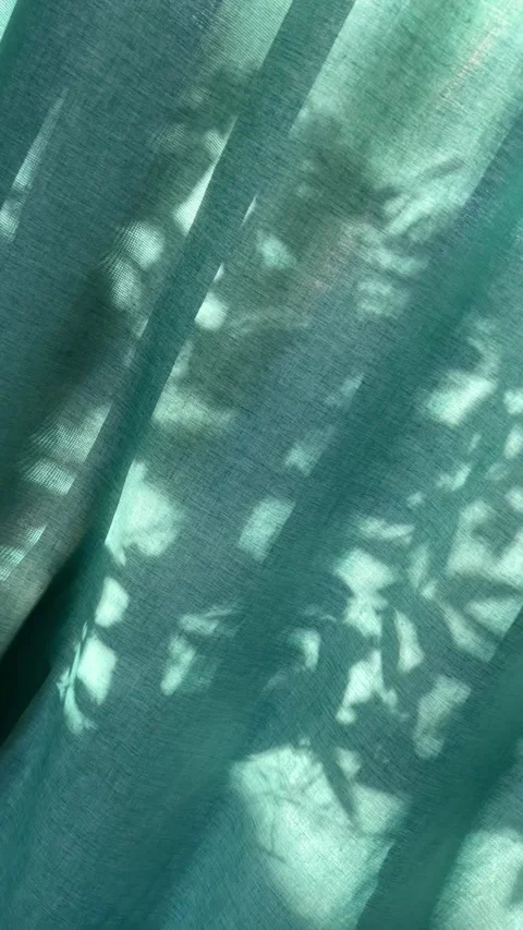 Leaf shadows through green curtain Stock Footage 220801373