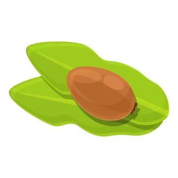 On leaf shea tree green nut icon, cartoon style Illustrazione stock