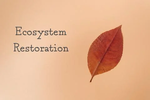 Leaf is shown with the words ecosystem restoration written below it Stock Photos