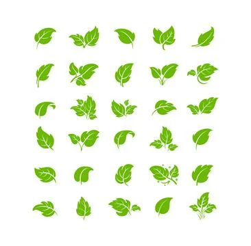 Leaf sicon set Stock Illustration
