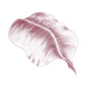 Leaf side view linear drawing Stock Illustration