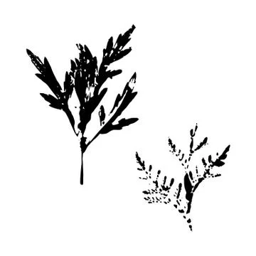 Leaf silhouette elements set isolated on white background. 库存插图