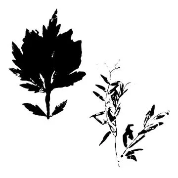 Leaf silhouette elements set isolated on white background. 스톡 일러스트