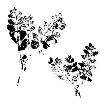 Leaf silhouette elements set isolated on white background. Ilustración de archivo