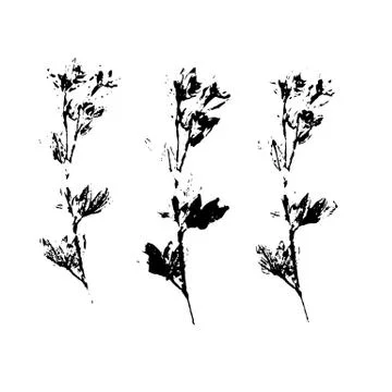 Leaf silhouette elements set isolated on white background. Illustrazione stock