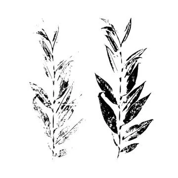 Leaf silhouette elements set isolated on white background. 스톡 일러스트