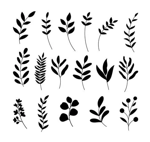 Leaf silhouette set. Hand drawn with leaves and flowers on white background. Illustrazione stock