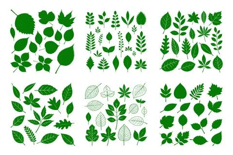 Leaf silhouette vector collection, diverse leaves shapes, nature elements 스톡 일러스트