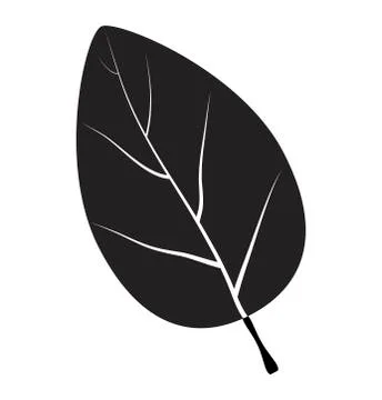 Leaf silhouette vector symbol icon design. Stock-Illustration