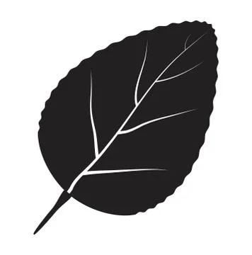 Leaf silhouette vector symbol icon design. Stock Illustration