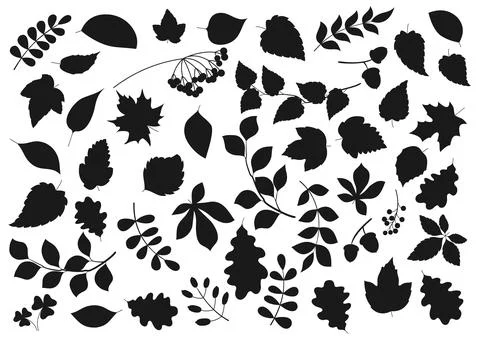 Leaf silhouettes, tree leaves and seeds icons Stock Illustration