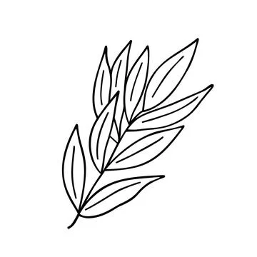 Leaf simple isolated outline vector minimalist concept illustration, black an 스톡 일러스트