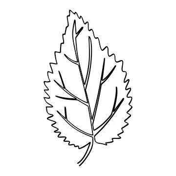 Leaf in simple sketch vector single or continuous line art 스톡 일러스트