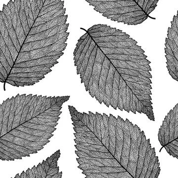 Leaf skeleton pattern Stock Illustration