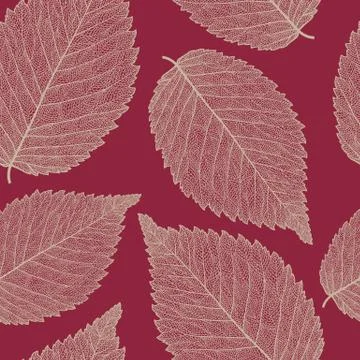 Leaf skeleton pattern Illustrazione stock