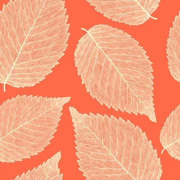 Leaf skeleton pattern Illustrazione stock