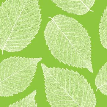Leaf skeleton pattern Stock Illustration
