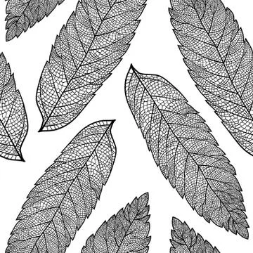 Leaf skeleton pattern イラスト素材