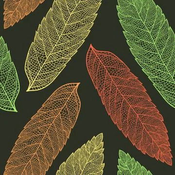Leaf skeleton pattern Stock Illustration
